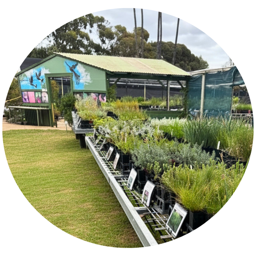 APACE WA Native Plant Subsidy Scheme