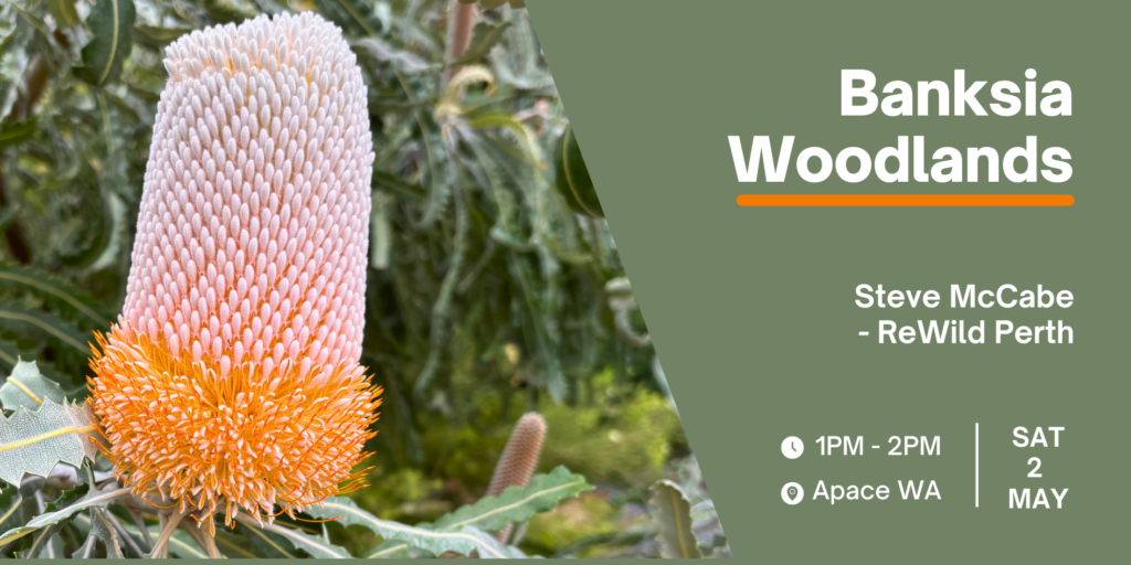 Banksia Woodlands Workshop