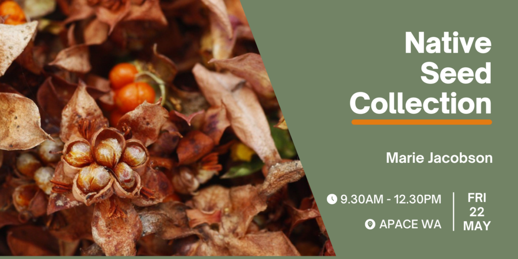 Native Seed Collection Workshop